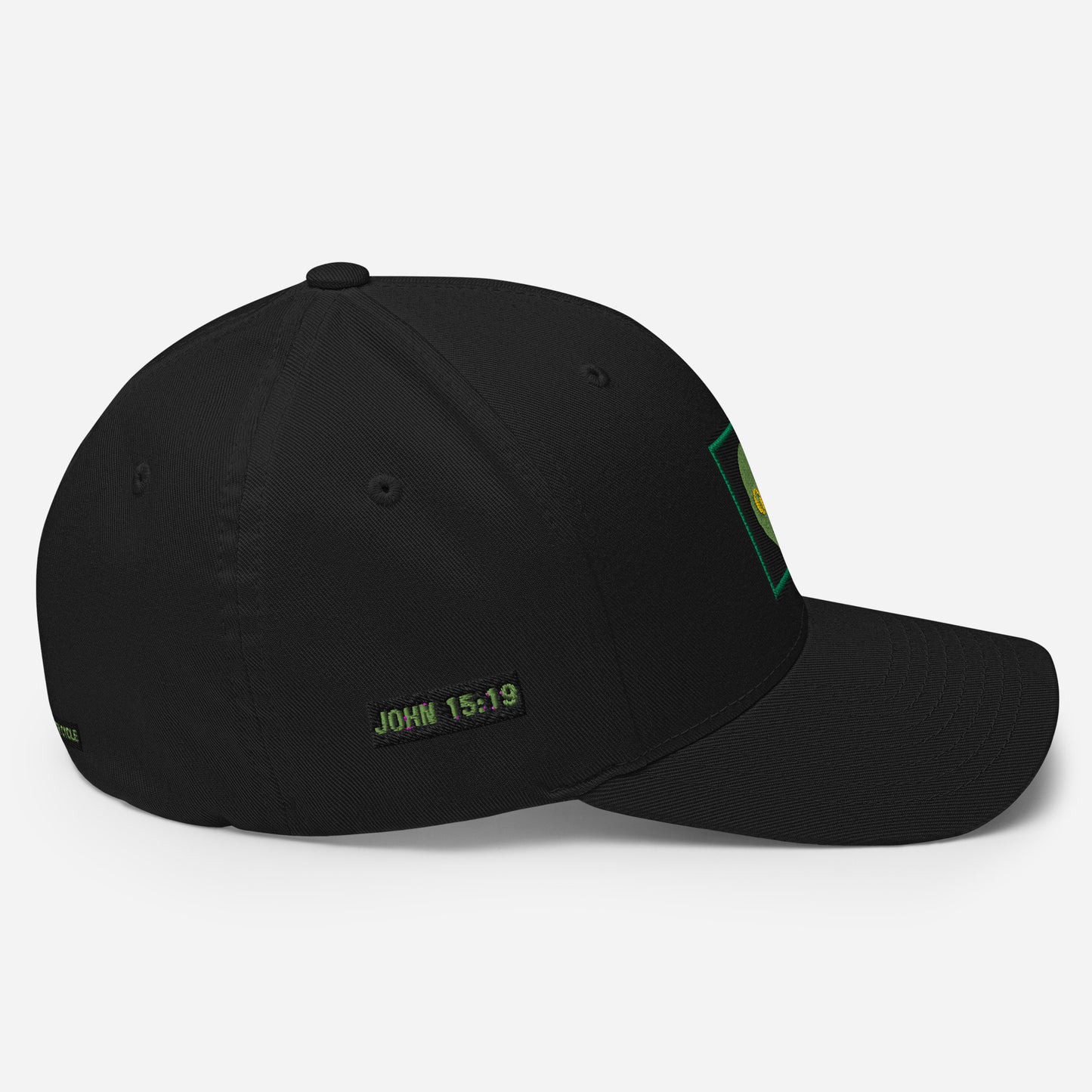 Biblical Truth Cycle - Structured Twill Cap (Alien Tribe)