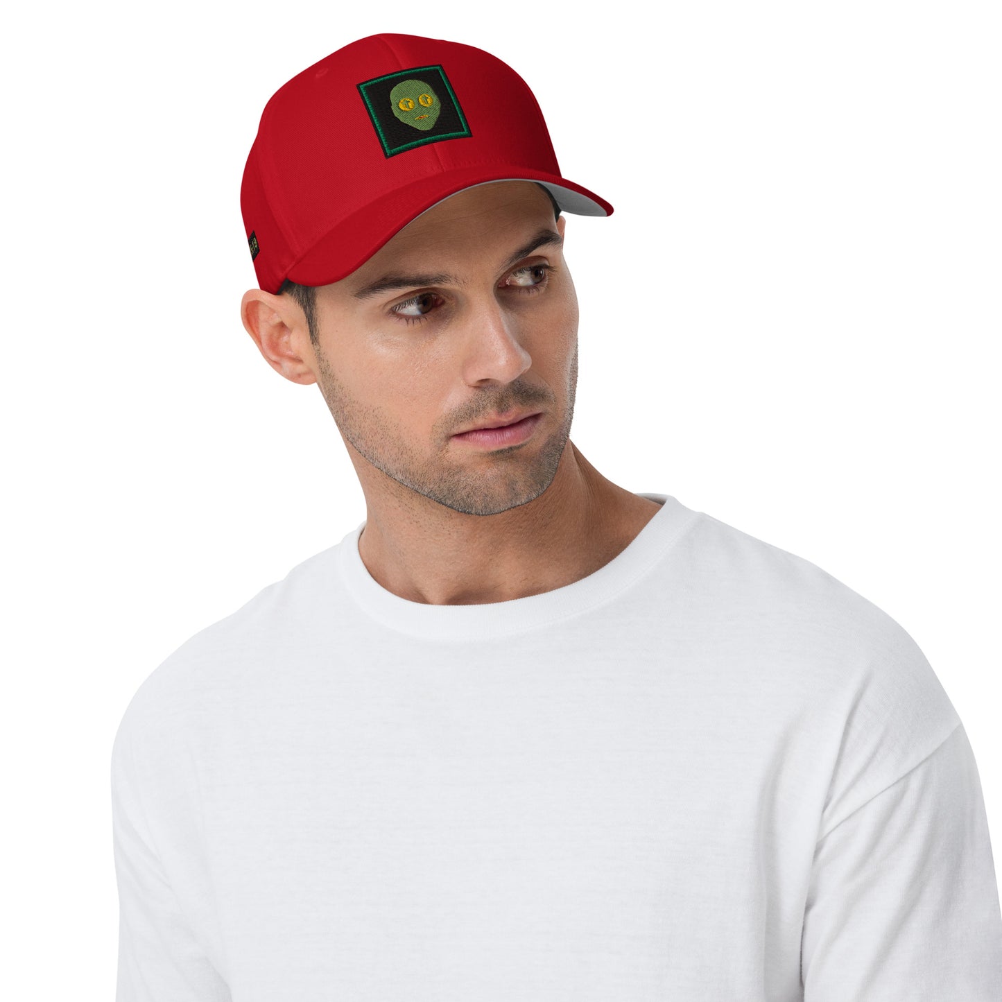 Biblical Truth Cycle - Structured Twill Cap (Alien Tribe)