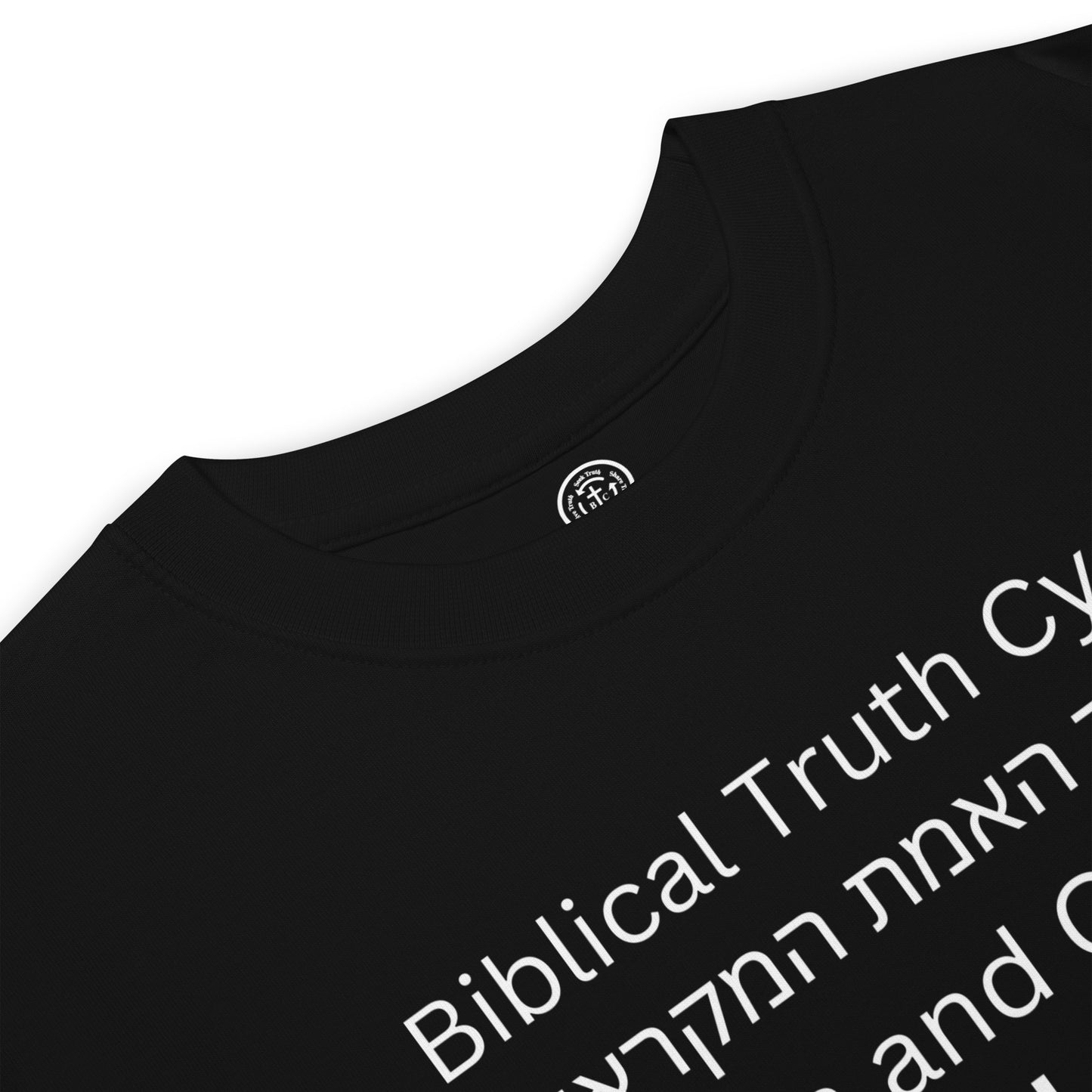 Biblical Truth Cycle - Men's Heavyweight T-Shirt (Hebrew Print)