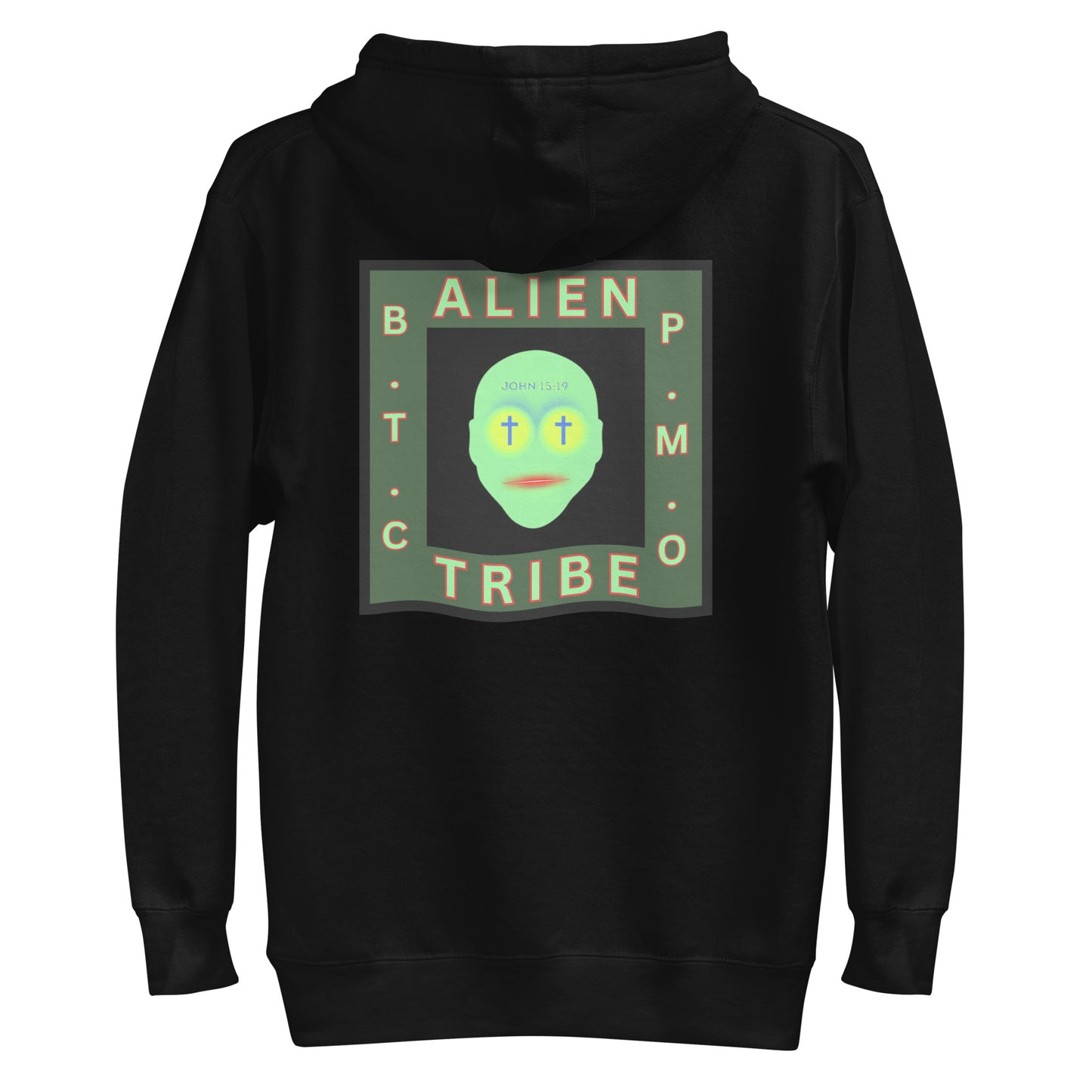 Biblical Truth Cycle - Pullover Hoodie (Alien Tribe)