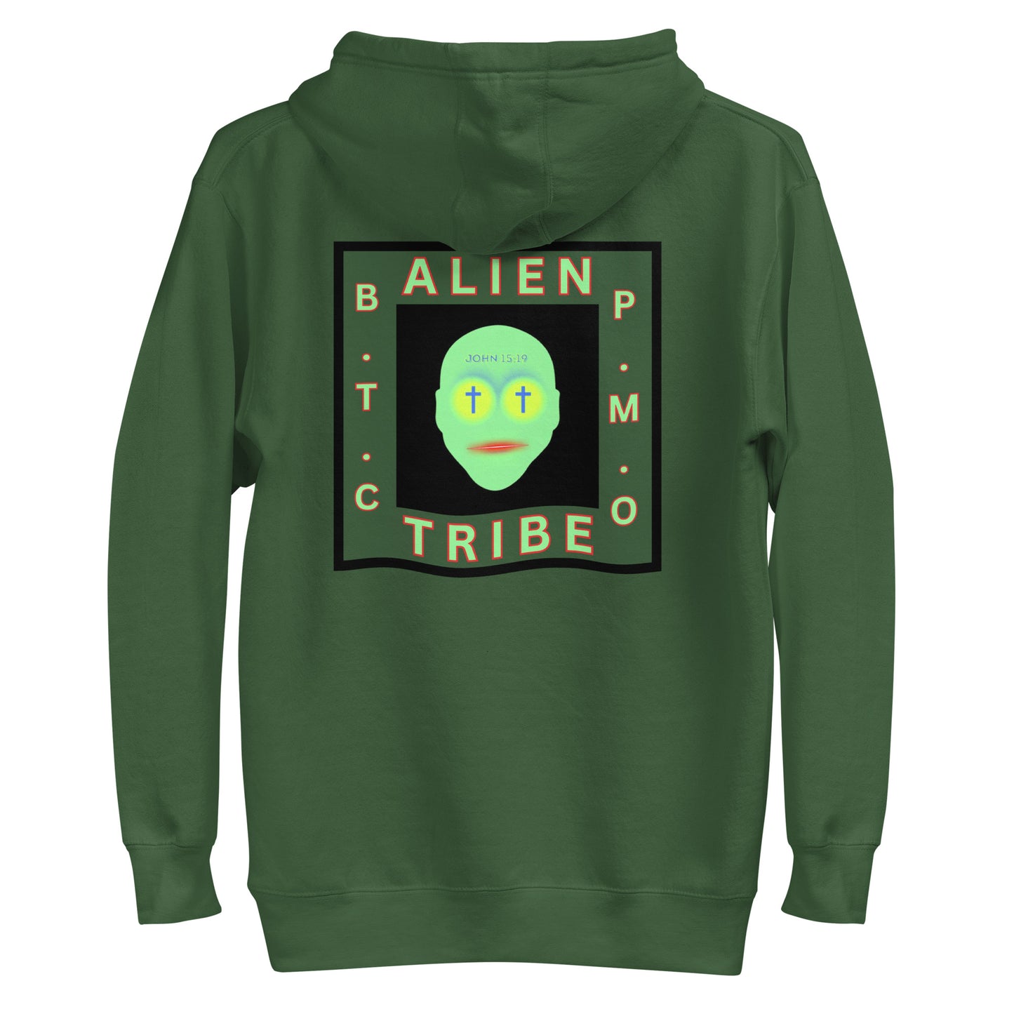 Biblical Truth Cycle - Pullover Hoodie (Alien Tribe)