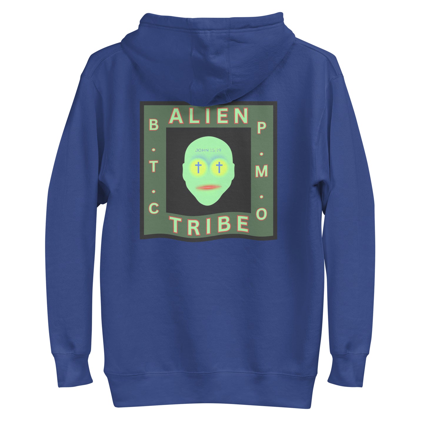 Biblical Truth Cycle - Pullover Hoodie (Alien Tribe)