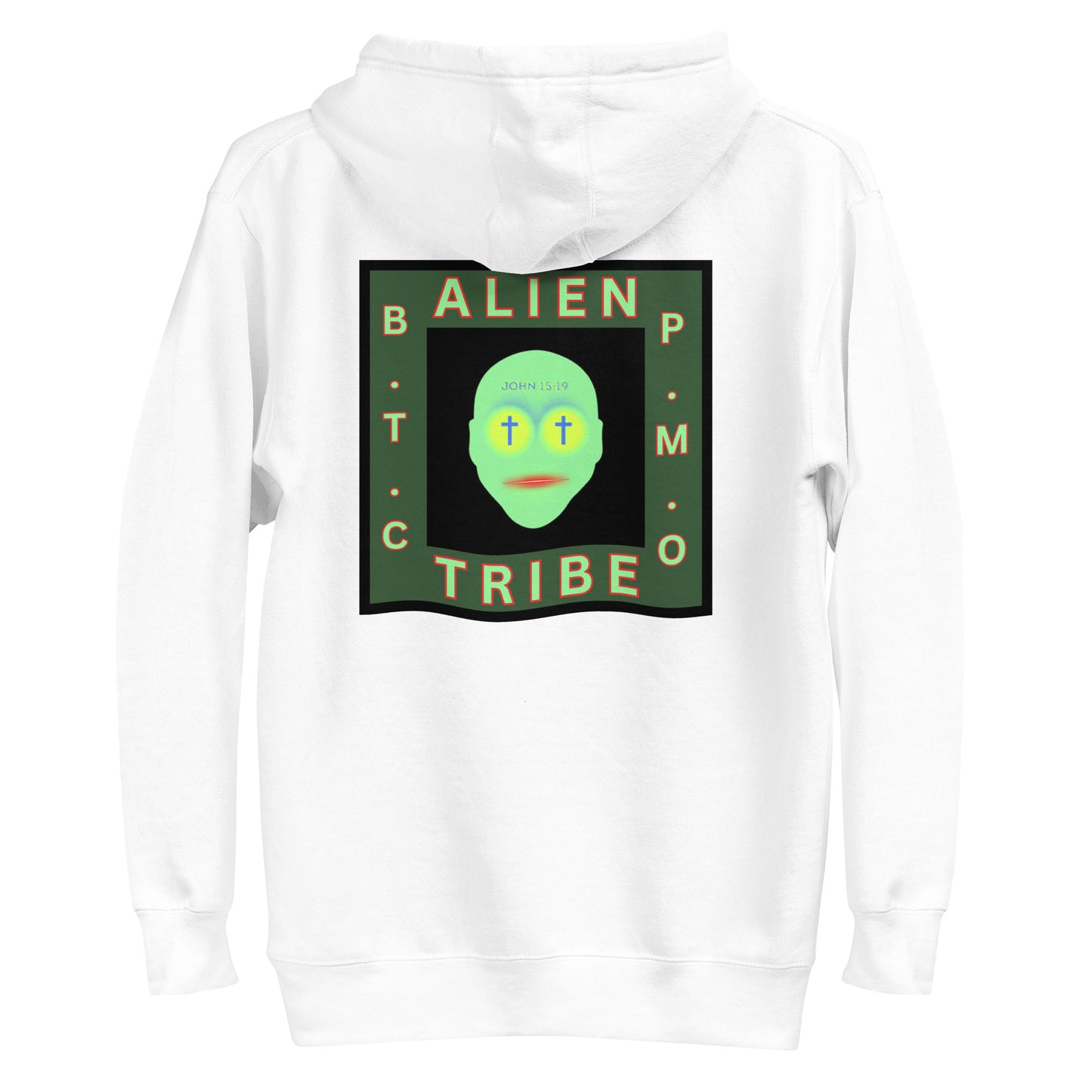 Biblical Truth Cycle - Pullover Hoodie (Alien Tribe)