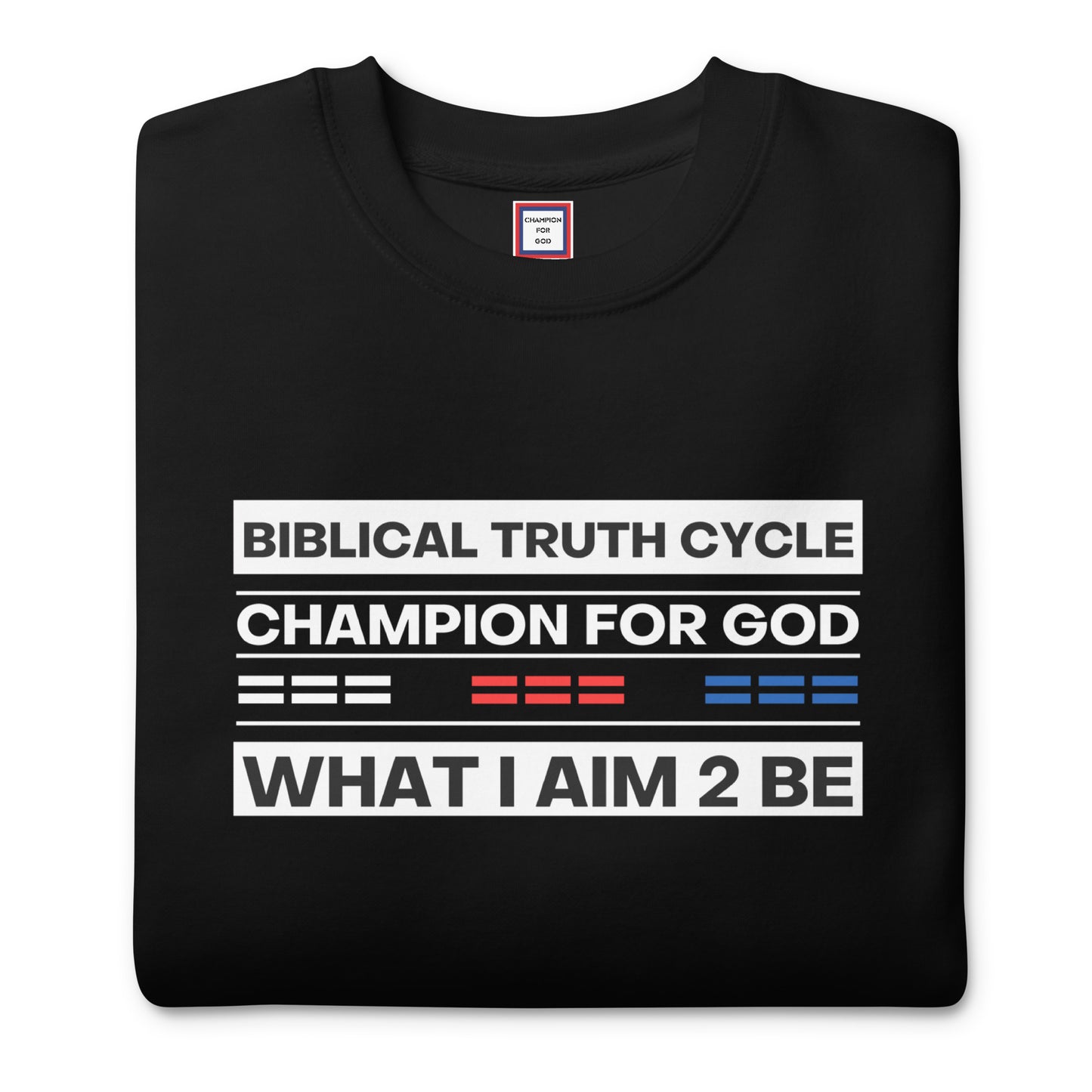 Champion For God - Sweatshirt (W.I.A.2.B.)