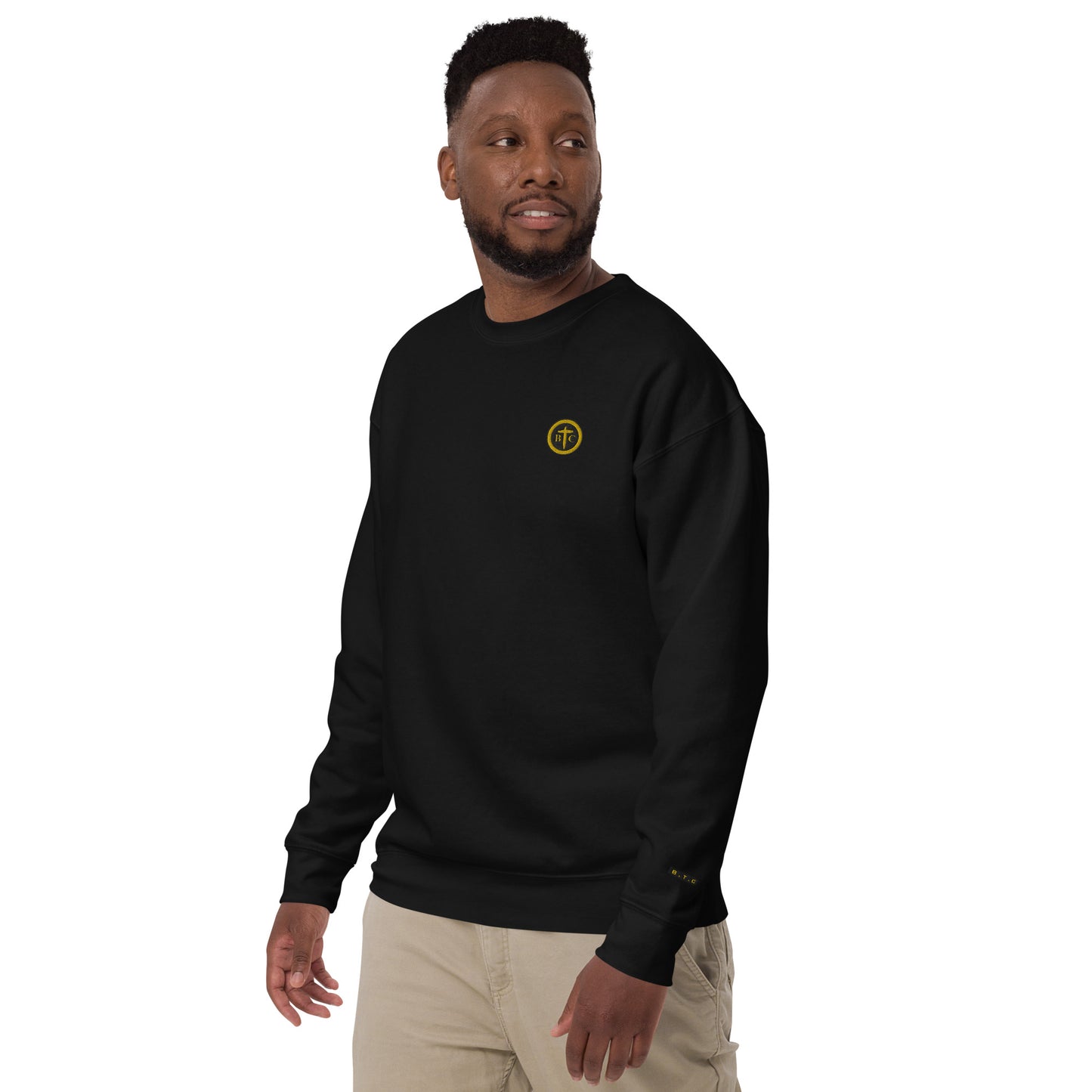 Biblical Truth Cycle - Casual Pullover (Logo II)