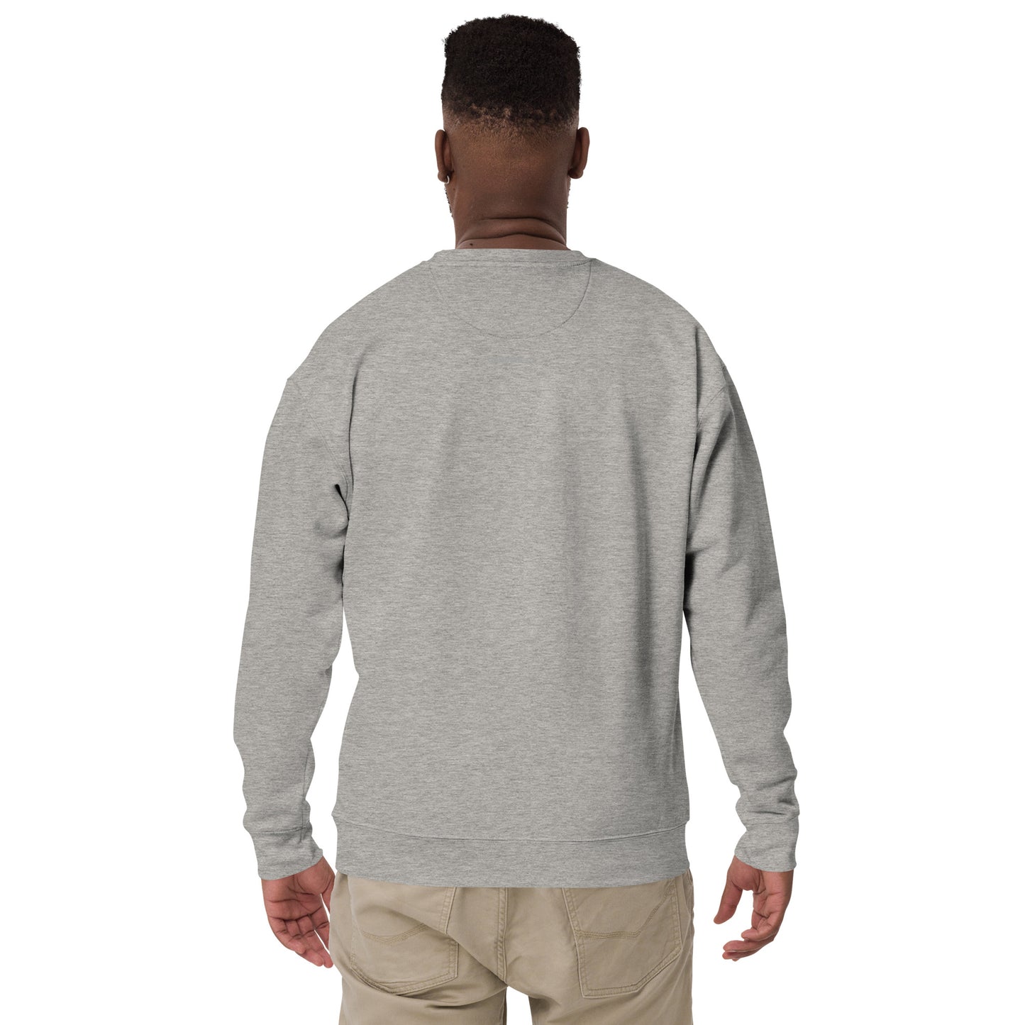 Biblical Truth Cycle - Premium Sweatshirt (Grey Logo)