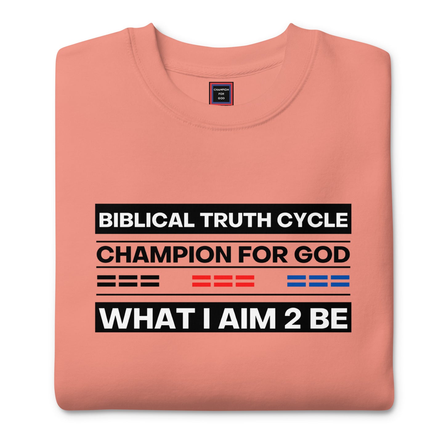 Champion For God - Sweatshirt (W.I.A.2.B.)