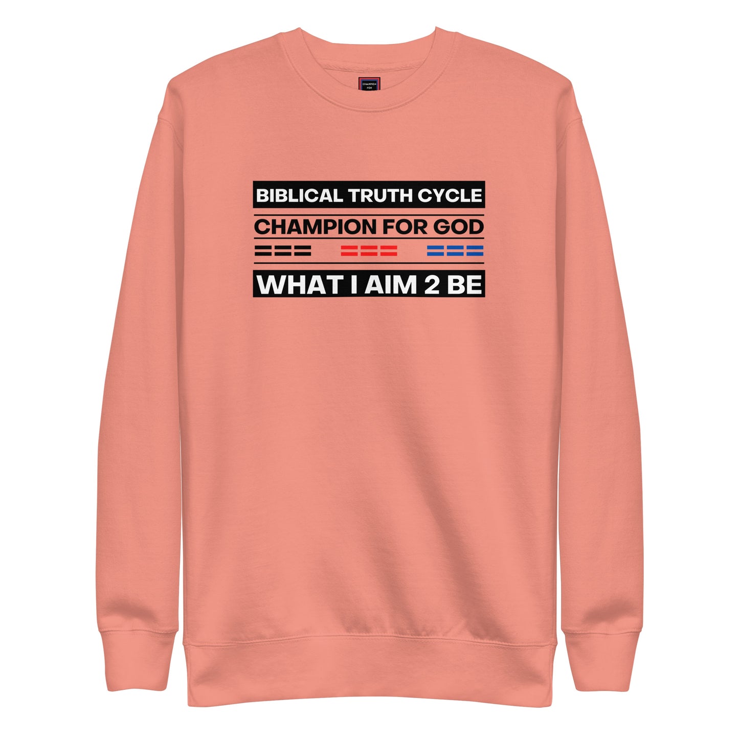 Champion For God - Sweatshirt (W.I.A.2.B.)