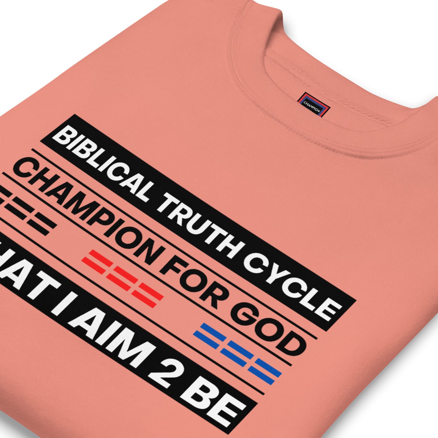 Champion For God - Sweatshirt (W.I.A.2.B.)