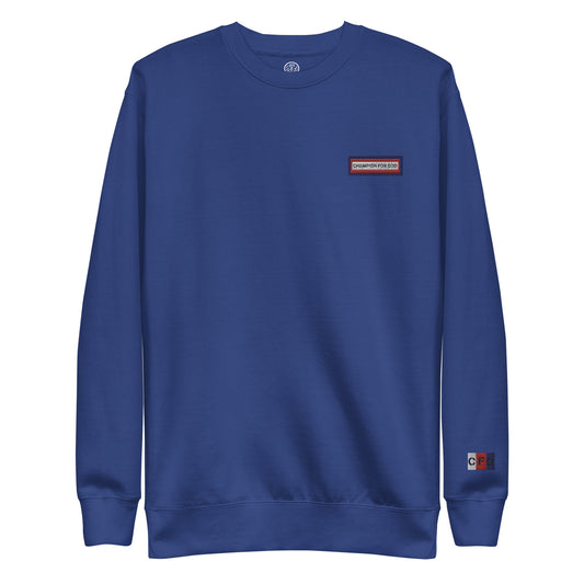 Champion For God - Casual Pullover