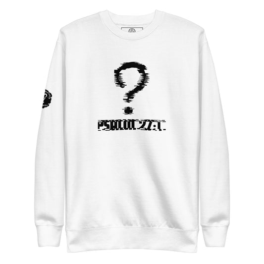 Biblical Truth Cycle - Premium Sweatshirt (Question)