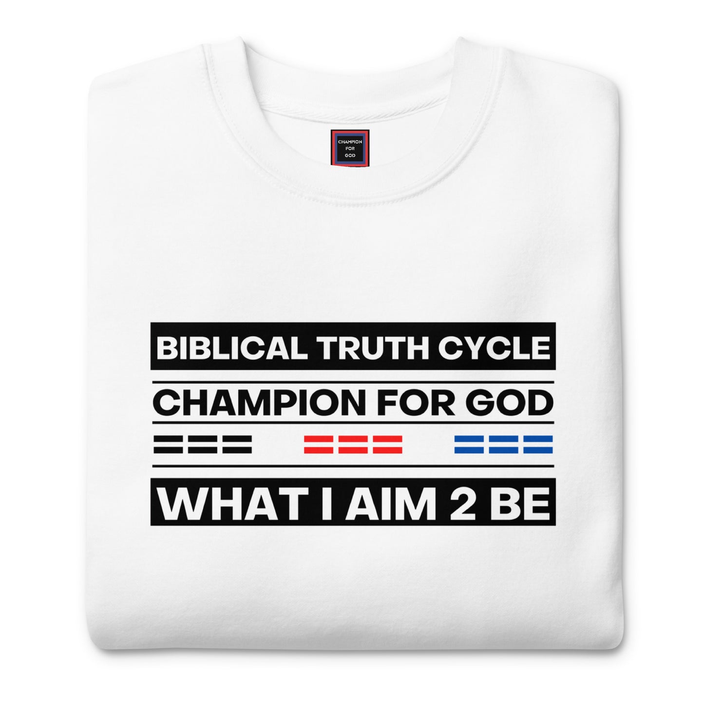 Champion For God - Sweatshirt (W.I.A.2.B.)