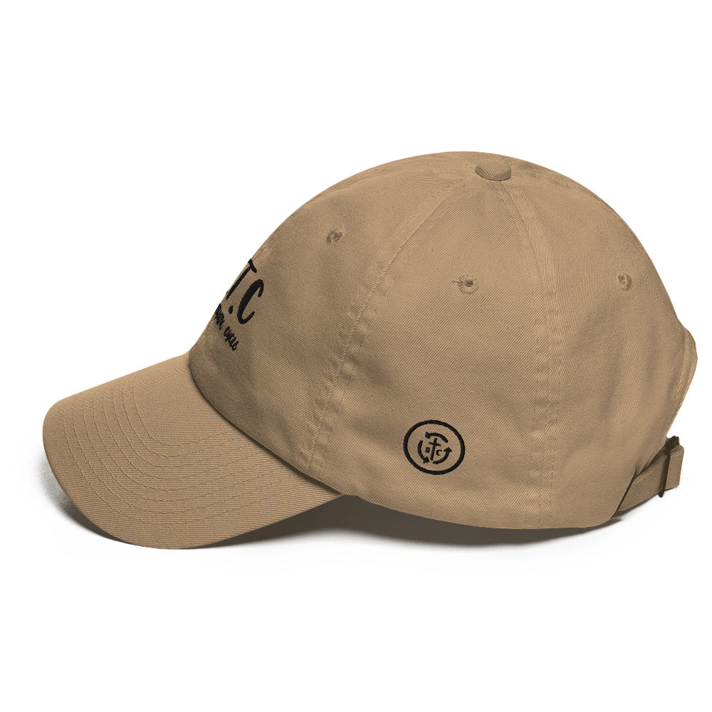 Biblical Truth Cycle - Dad Hat (Swirl Acronym)