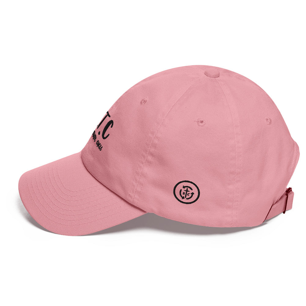 Biblical Truth Cycle - Dad Hat (Swirl Acronym)