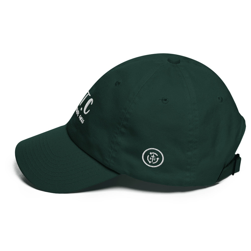 Biblical Truth Cycle - Dad Hat  (Swirl Acronym)