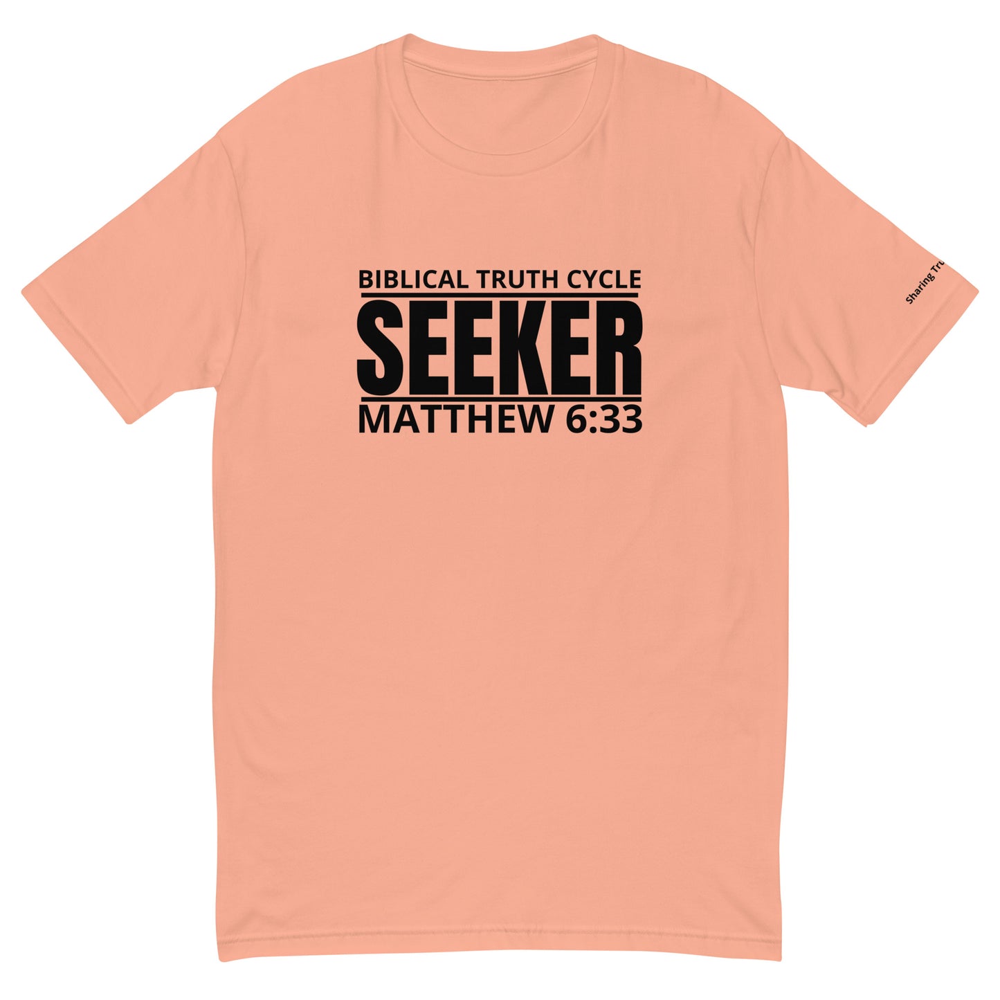 Biblical Truth Cycle - T-Shirt (Seeker)