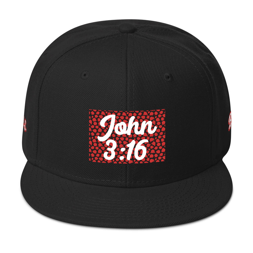 Biblical Truth Cycle - Snapback Hat (John 3:16 - White Letters)