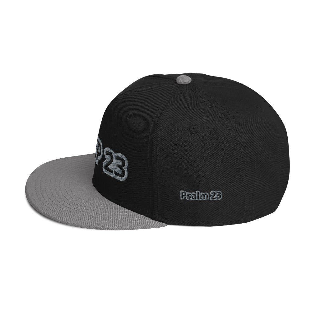 Sheep 23 - Snapback Hat