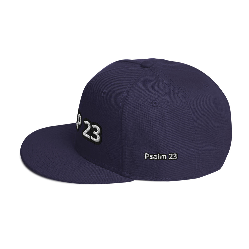 Sheep 23 -- Snapback Hat