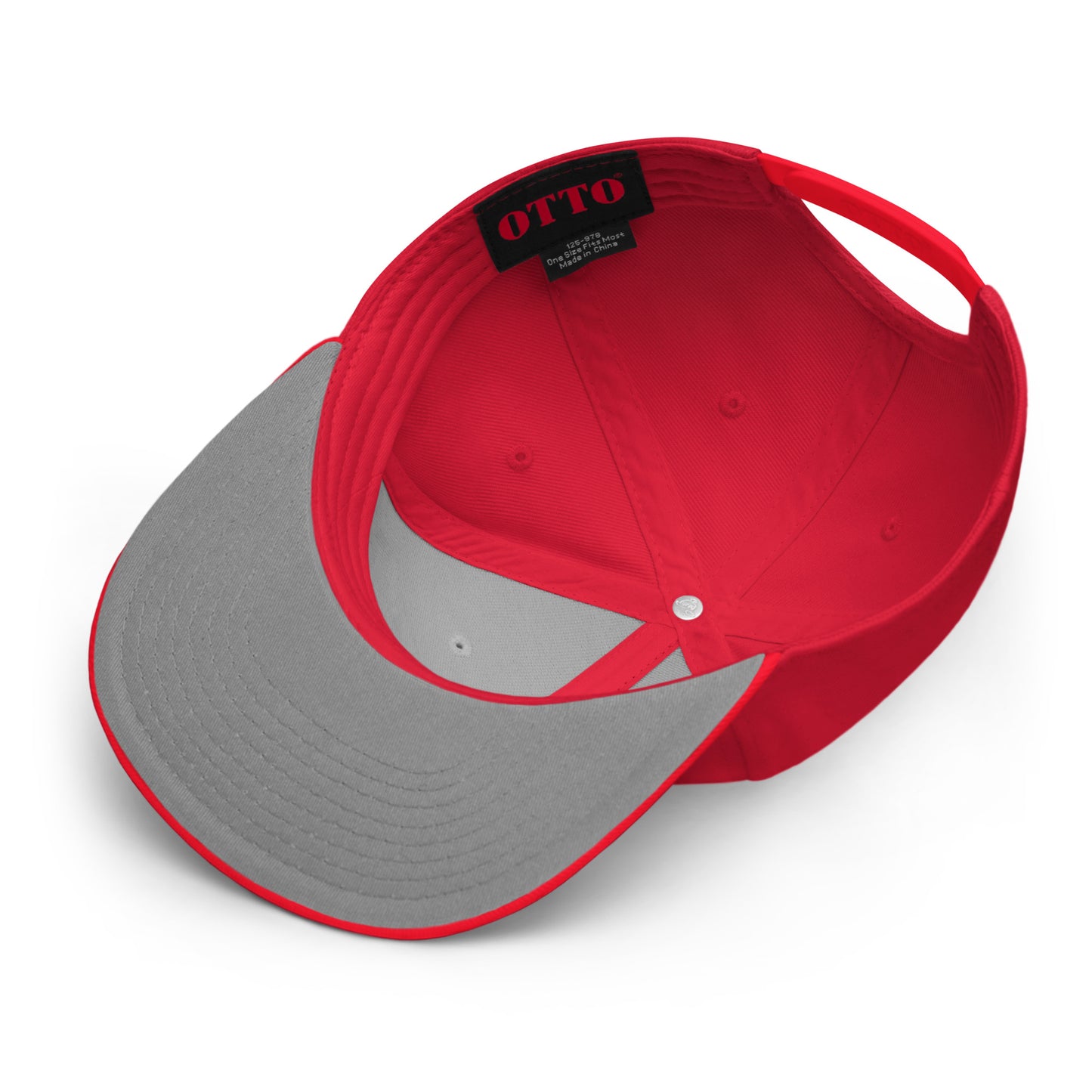 Biblical Truth Cycle - Snapback Hat (Logo II)