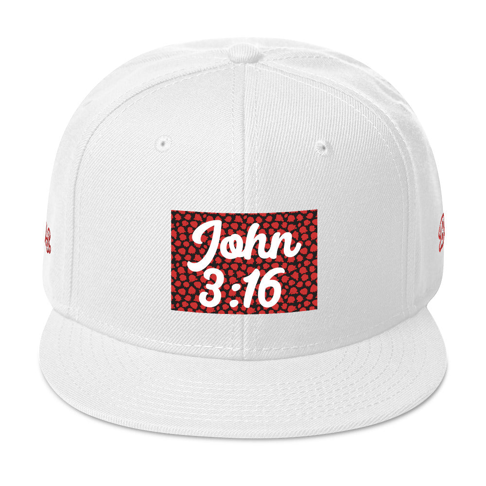 Biblical Truth Cycle - Snapback Hat (John 3:16 - White Letters)