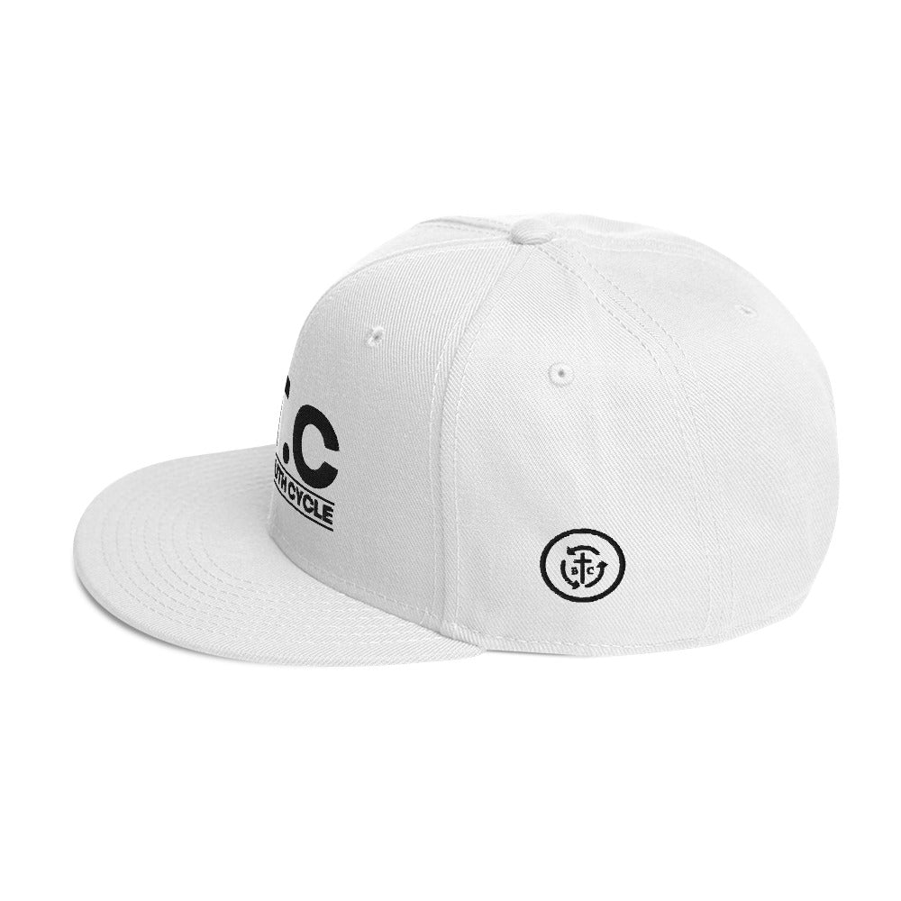 Biblical Truth Cycle - Snapback Hat (Acronym)