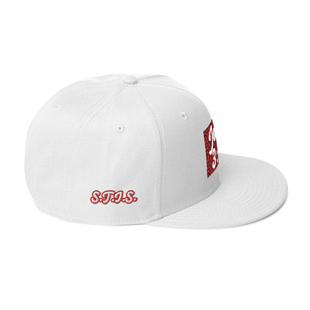 Biblical Truth Cycle - Snapback Hat (John 3:16 - White Letters)